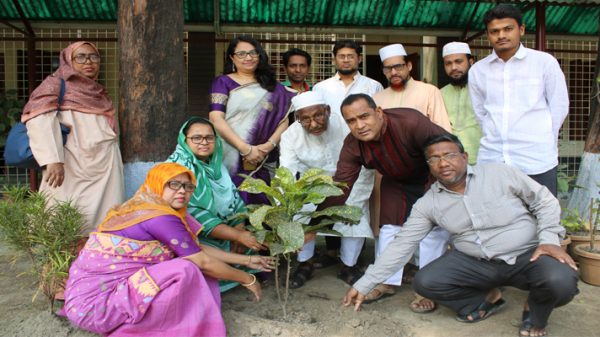 বঙ্গবন্ধুর জন্মশত বার্ষিকীতে ফতুল্লা পাইলট স্কুলের ১০০ বৃক্ষরোপণ