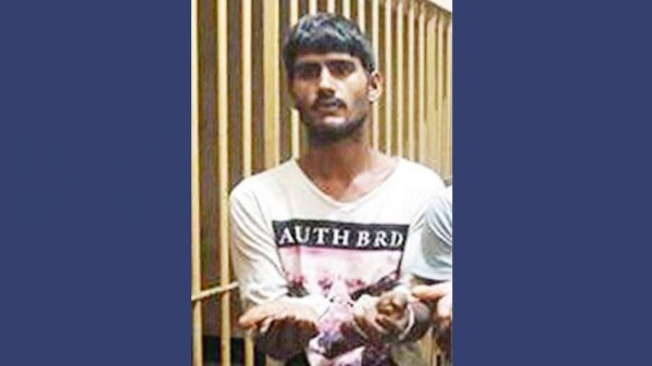 ফতুল্লায় গাঁজাসহ মানিক গ্রেপ্তার