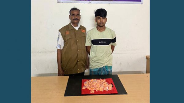 মুন্সীগঞ্জে বিপুল পরিমাণ ইয়াবাসহ একজন গ্রেফতার